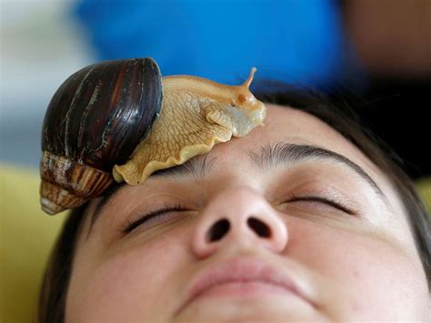 Slimy Snail Facials Not For The Faint Hearted The Stringer