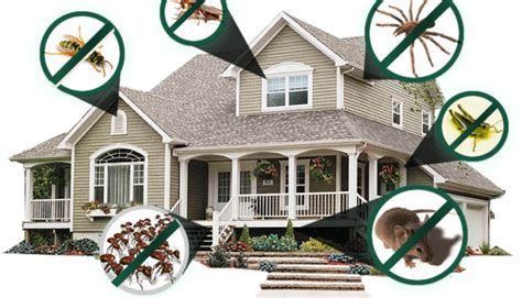 Residential Pest Control Orange Pest Control Services