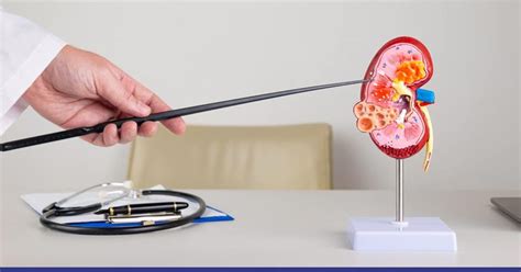 Kidney Scarring Symptoms Diagnosis And Treatment