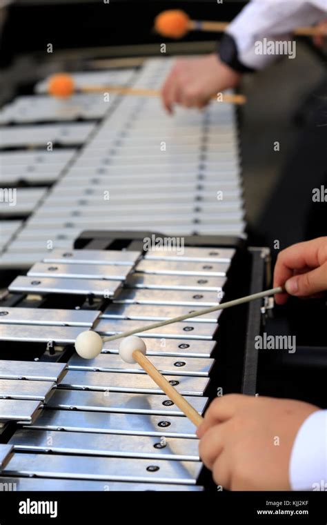 Instrument De Musique Xylophone Hi Res Stock Photography And Images Alamy