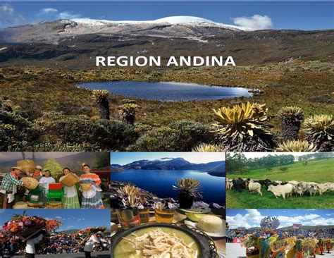 La Region Andina By Mariana Flipsnack