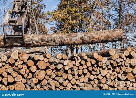 Stacking Tree Logs At A Sawmill Stock Photography