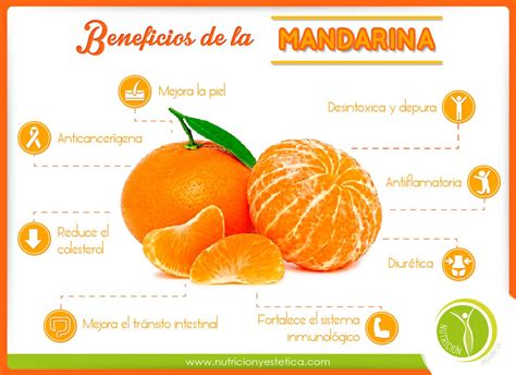 Beneficios De La Mandarina Mandarina Beneficios De Las Verduras