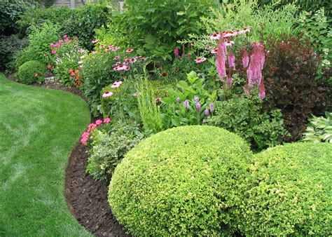 Likemixed Border Landscaping Shrubs Landscaping Trees Garden