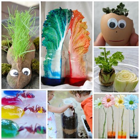 0.2 benefits of science activities for toddlers and preschoolers: Spring Science for Kids | Spring science experiments ...