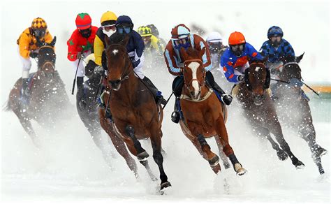 Exciting Horse Racing On The Frozen Lake St Moritz
