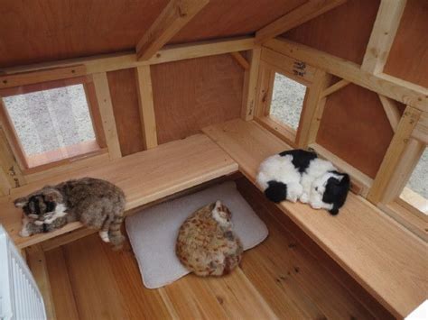 Diy Outdoor Cat Shelter For Multiple Cats 52 Diy Outdoor Cat House