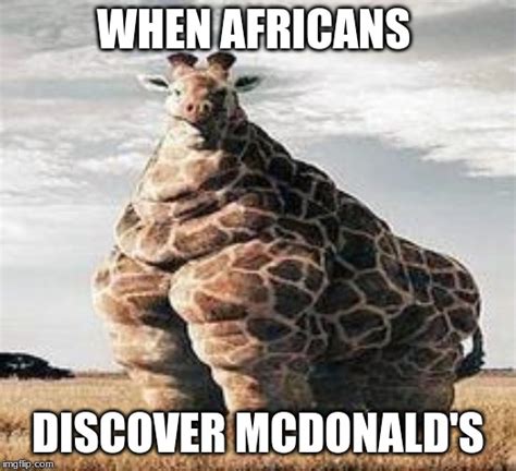 Image Tagged In Fat Giraffe Imgflip