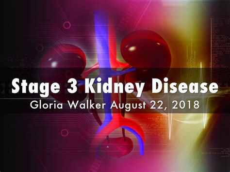Your kidney diet (renal diet) is extremely important to slow down, stop, or reverse your kidney disease and i cover some of the common diet changes recommended with chronic kidney disease stage 3. Stage 3 Kidney Disease by Gloria Walker