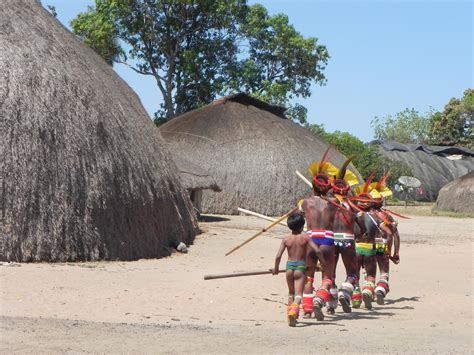 A Situação Do Parque Nacional Do Xingu No Cidadania Ambiental Apedema Rs