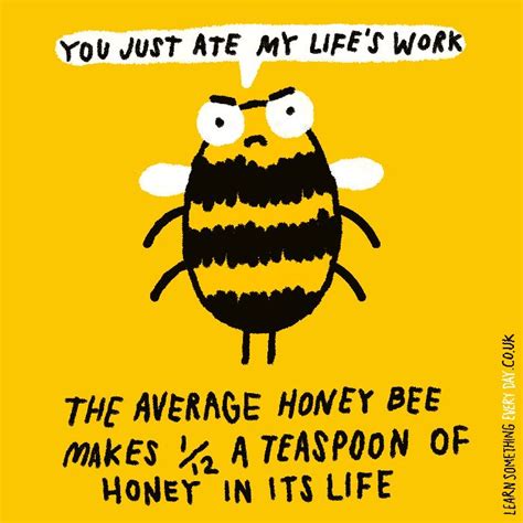 The Average Honey Bee 1 12 Teaspoon Of Honey In Its Life Fun