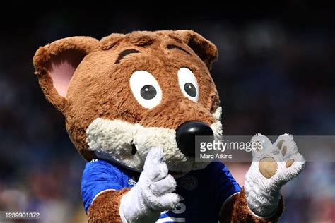 Filbert Fox The Leicester City Club Mascot During The Premier League