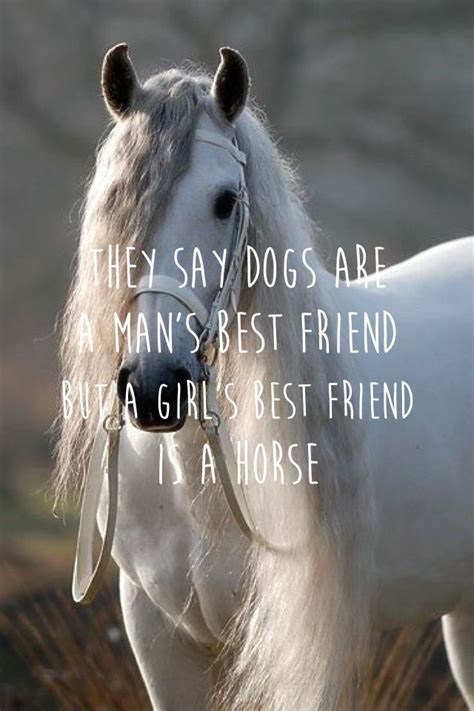 Horse Quote Horse Quotes Horses Mans Best Friend