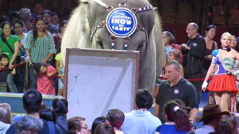Ringling Brothers Circus Pre Show Sad Kelly Anne Sept 1 2014 Youtube