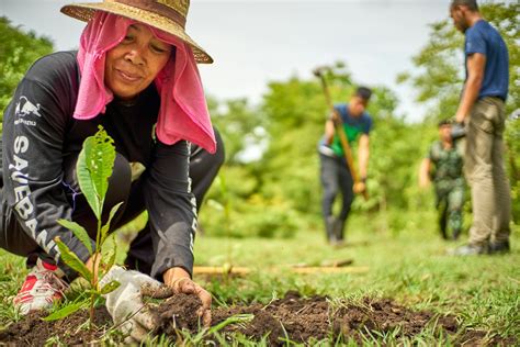 Top 8 Best Deforestation Solutions 2023 Eco Globe