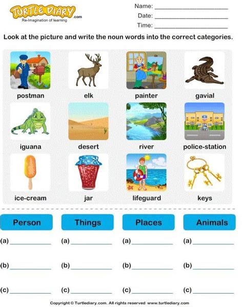 sort nouns  person place animal   turtlediary