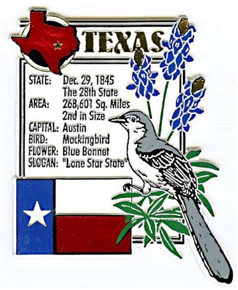 Texas The Lone Star State Montage Fridge Magnet