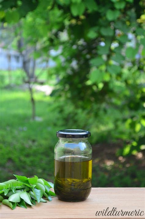 They get clogged due to oily scalp, and pollution. Homemade Curry Leaves Hair Oil for Hair Growth & Premature ...