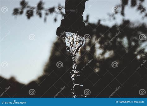 Selective Focus Shot Of The Water Dripping From A Faucet With The Trees