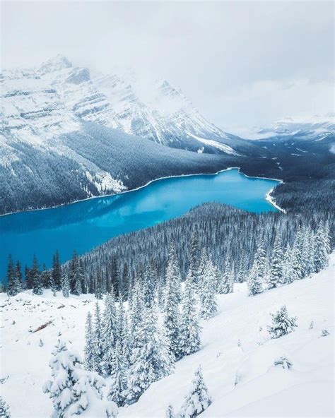 Peyto Lake Banff National Park Canada Michaelmatti 1080x1350