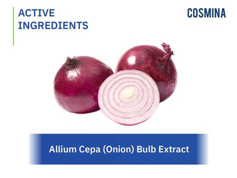 Allium Cepa Onion Bulb Extract สารสกัดหอมแดง Cosmina