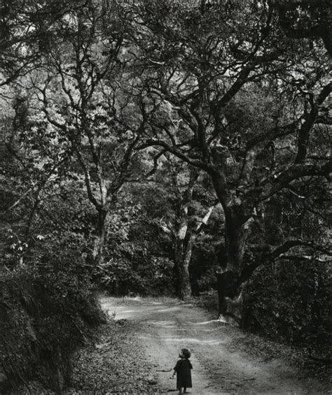 Wynn Bullock Child On Forest Road 1958 From