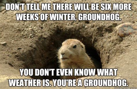Humor Groundhogs Day Meme It Will Be Published If It Complies With The Content Rules And Our