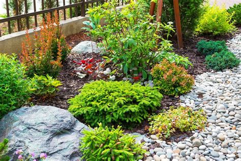 We did not find results for: #landscaping Rock Mulch vs. Wood Mulch For Flower Beds ...