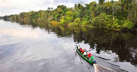Brazil Amazon River Cruise Tucano 🦋 4 And 5 Manaus Jungle Cruises