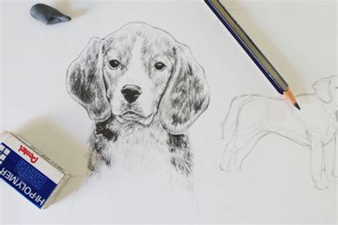 It is a sideways hook shape with the shorter part of the hook on the bottom. 30 Ways to Draw Dogs - DIY Projects for Teens