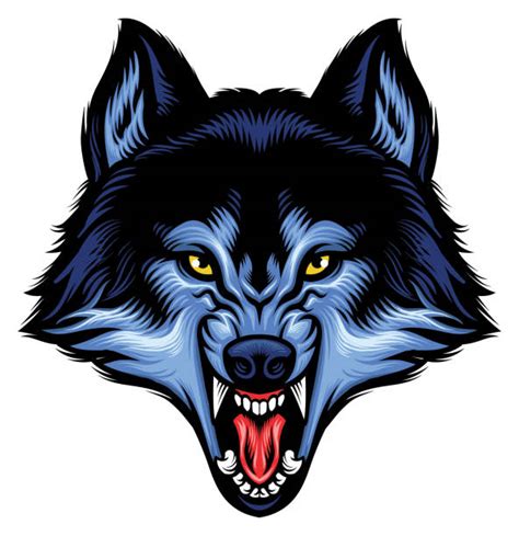 Mean Wolf Drawings Illustrations Royalty Free Vector Graphics And Clip