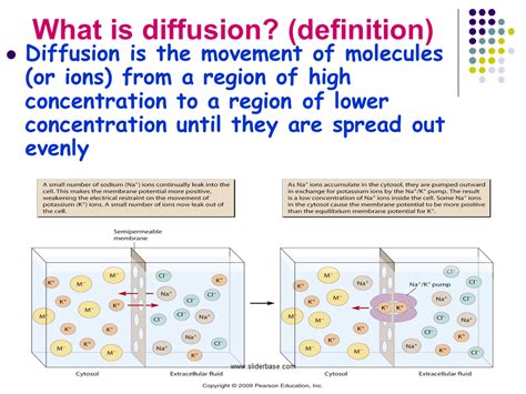Diffusion Definition