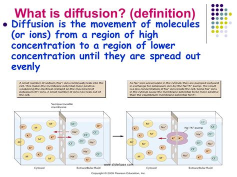 Maybe you would like to learn more about one of these? Crossing Membranes Passive Processes - Presentation Cell ...