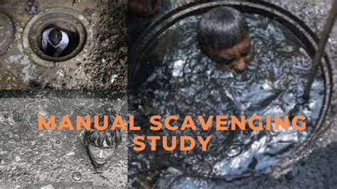 Manual Scavenging Study Manual Scavenging Act 2013 In Hindi Dpsp