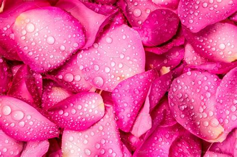Fresh Pink Rose Petal Abstract Stock Photos ~ Creative Market