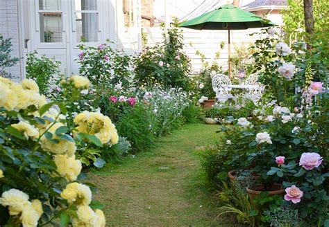 実録！ バラがメインの庭づくり第5話～バラの開花を心ゆくまで愛でる Gardenstory ガーデンストーリー