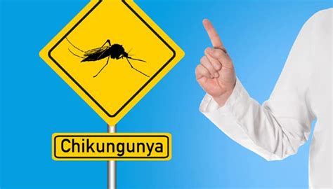Five Must Know Facts About Chikungunya Fever Health News Zee News