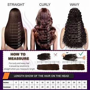 Hair Length Chart Hair Chart Hair Extension Lengths Hair Length Chart