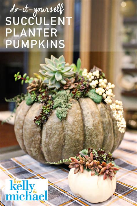 Planter For Pumpkins Pumpkin Planters Make Great Fall Decorations