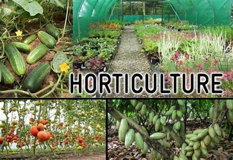 Horticultural Consultants Horticulture Consultancy Services