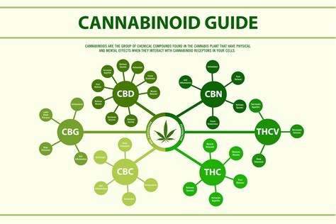 What Are Rare Cannabinoids Rare Cannabinoid Company