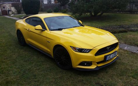 213 Coupé Gt 15 Mustang Riders Club