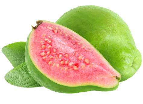 So go to our article for information. Can Dogs Eat Guava? - Dog Advice Center