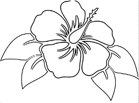Hawaii coloring pages image hawaiian flower coloring page free #16383829. Hibiscus Flower Coloring Page - Coloring Home