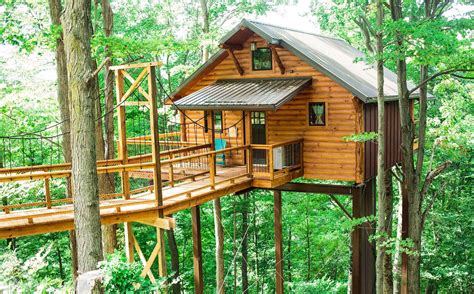 Discover The Ultimate Romance In Trees 30 Feet Off The Ground This