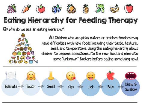 Eating Hierarchy Food And Feeding Therapy Feeding Therapy Early