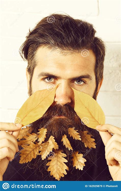 Hipster With Leaves In Beard Stock Image Image Of Hipster Autumn 162929879