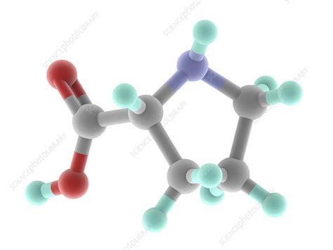 Proline Molecule Stock Image F0059255 Science Photo Library