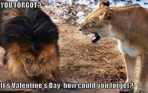 65 Best Valentines Day Memes For You