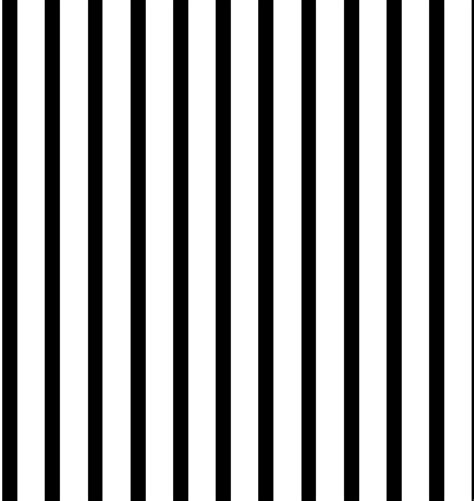 Thin Black And White Striped Wallpaper Carrotapp